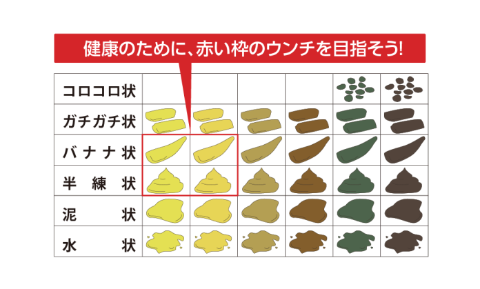 ウンチの形状と色